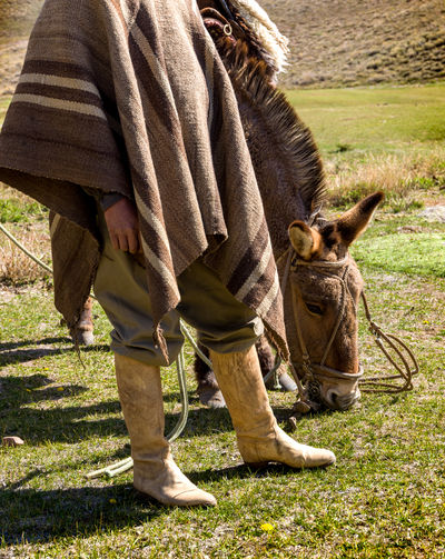 Gaucho to the south america low section of person standing on field