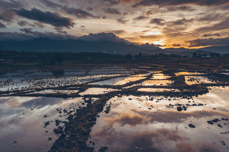 Agriculture field against sky during sunset