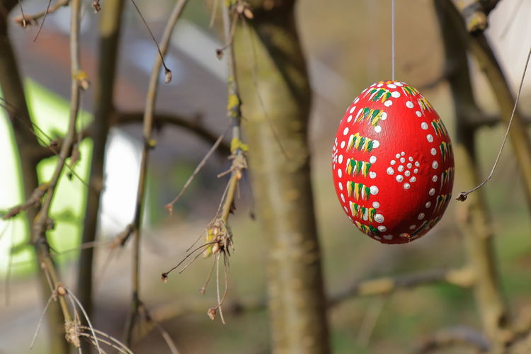 Colored and painted easter egg hanging on a twig
