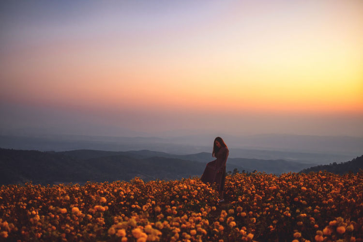Woman standing amidst flowering plants against sky during sunset