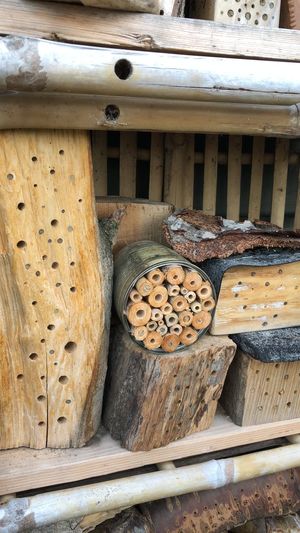 wood