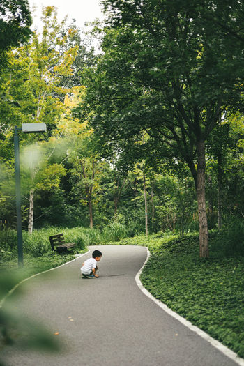 Rear view of man sitting on road amidst trees
