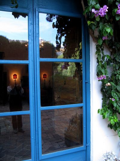 Plants seen through window