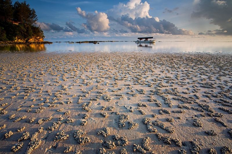 Crab holes at beach against cloudy sky
