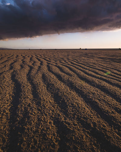 Scenic view of field against sky during sunset