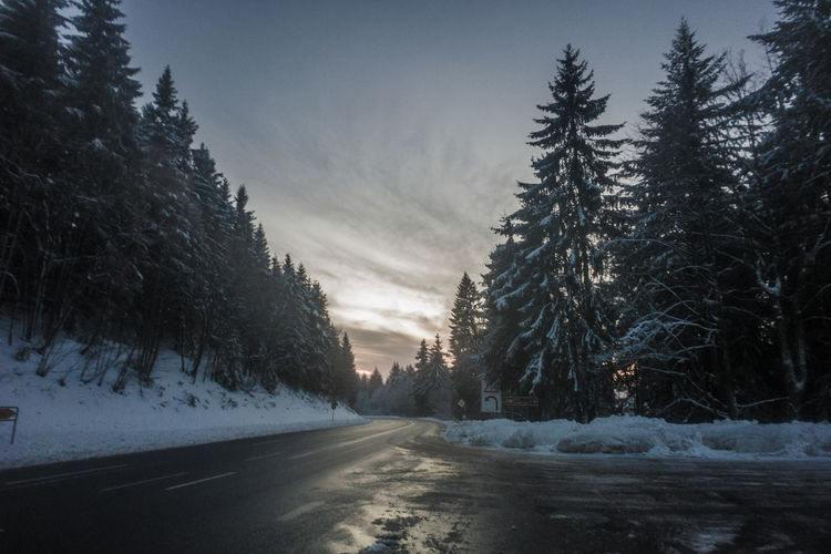 Road amidst snow covered trees against sky
