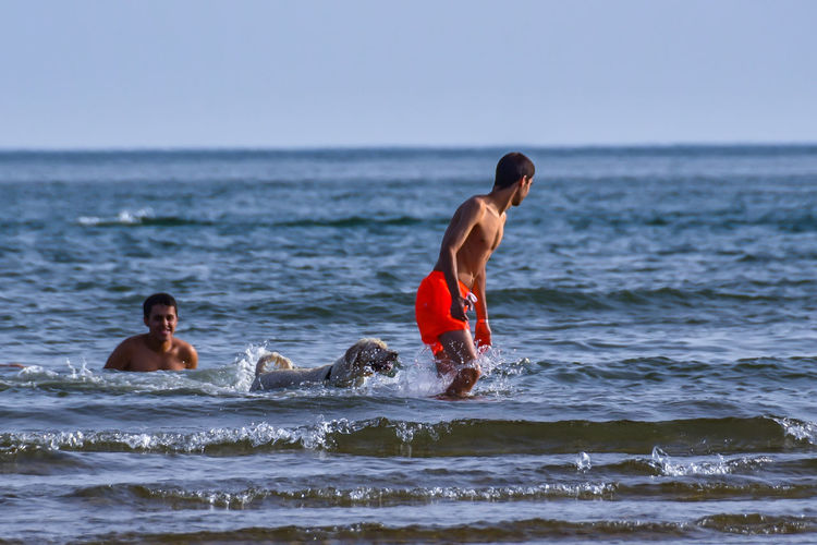 Men with playful dog in sea against clear sky