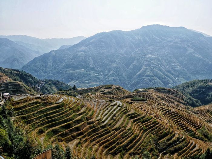 Scenic view of agricultural landscape against sky