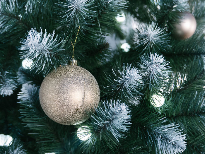 Full frame shot of christmas tree