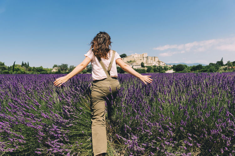 France, grignan, back view of woman crossing lavender field