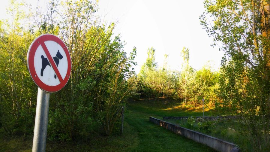Road sign by trees against sky