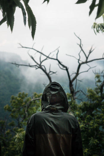 Man standing in forest at the top of the mountain