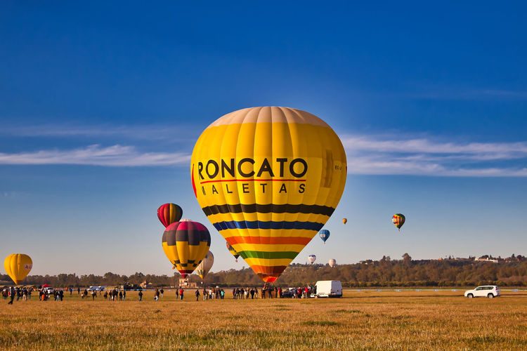 Hot air balloons flying over field against sky