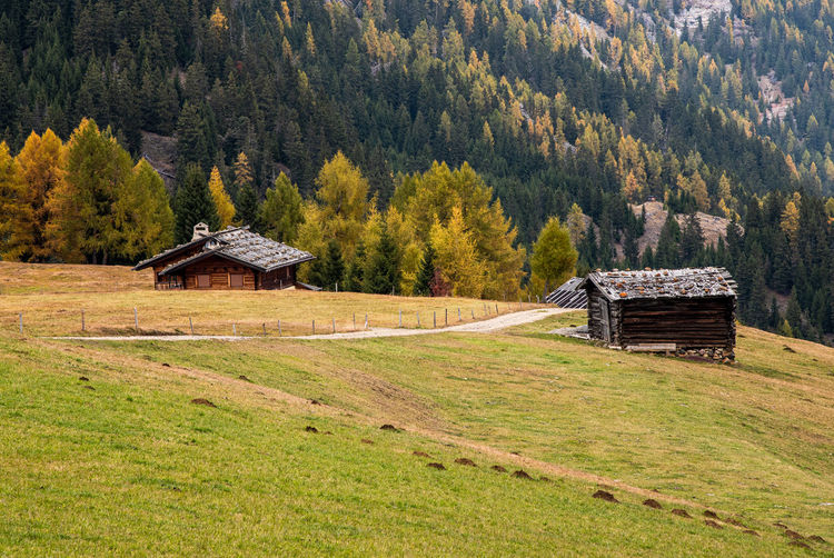 Mountain wooden chalets at the famous alpe di siusi valley on the dolomites, south tyrol in italy