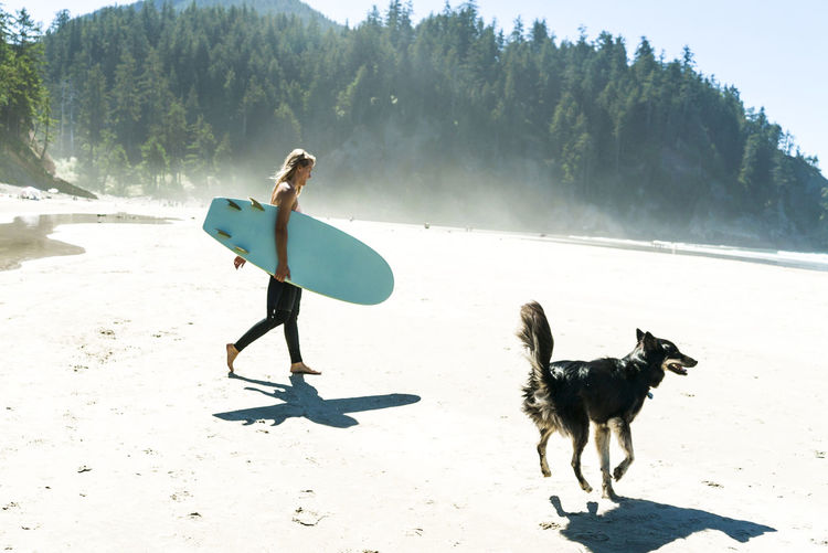 Woman holding surfboard with dog walking on sand at beach