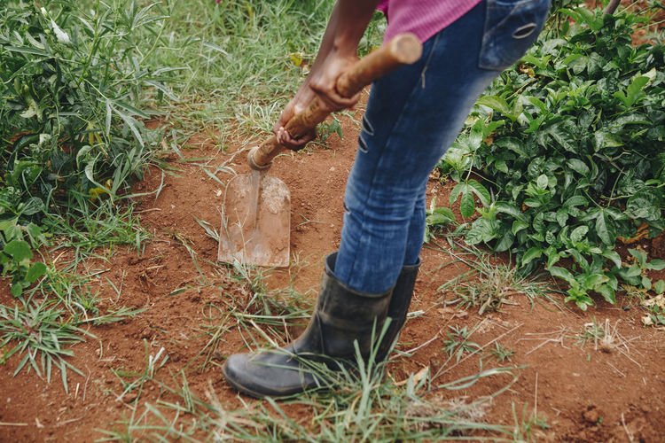 Low section of woman digging with shovel on field