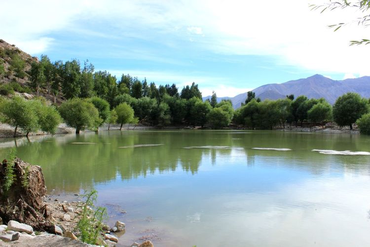 Scenic view of lake by trees against sky