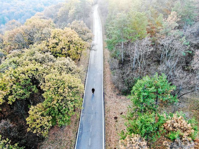 Aerial view of man walking on road amidst trees