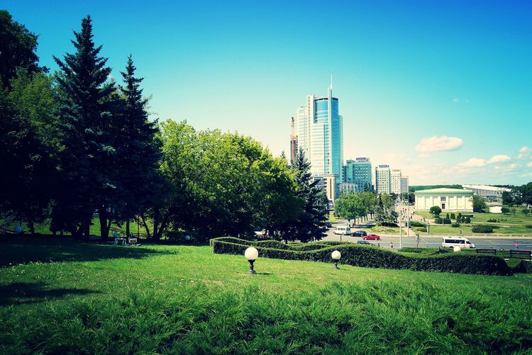 Trees on field by buildings against sky