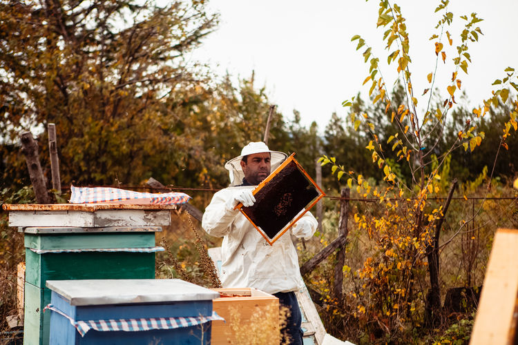 Beekeeper works with bee hives