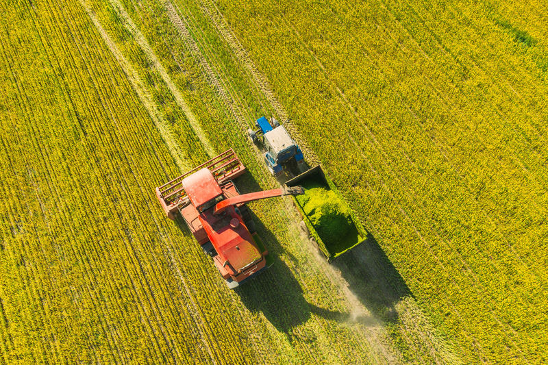 High angle view of tractor on field