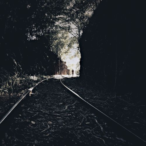 Railway tracks amidst trees