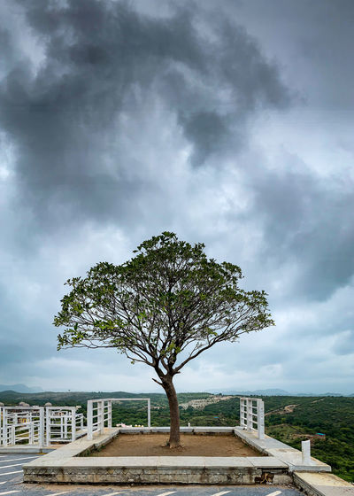 Tree on field against storm clouds
