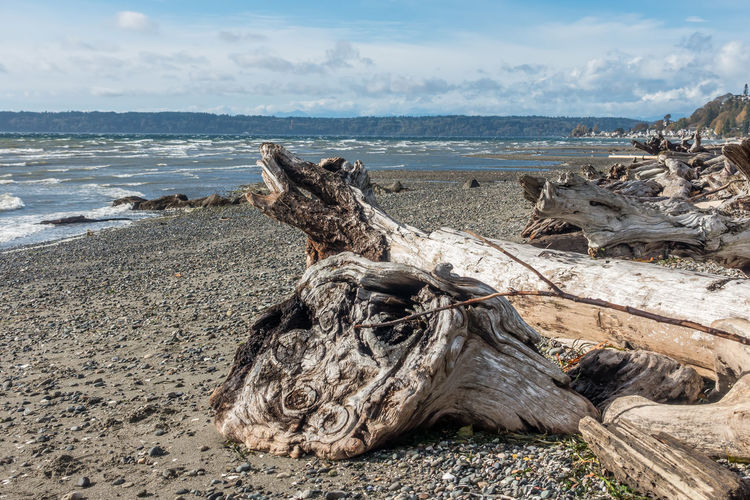 Close-up of driftwood on beach against sky