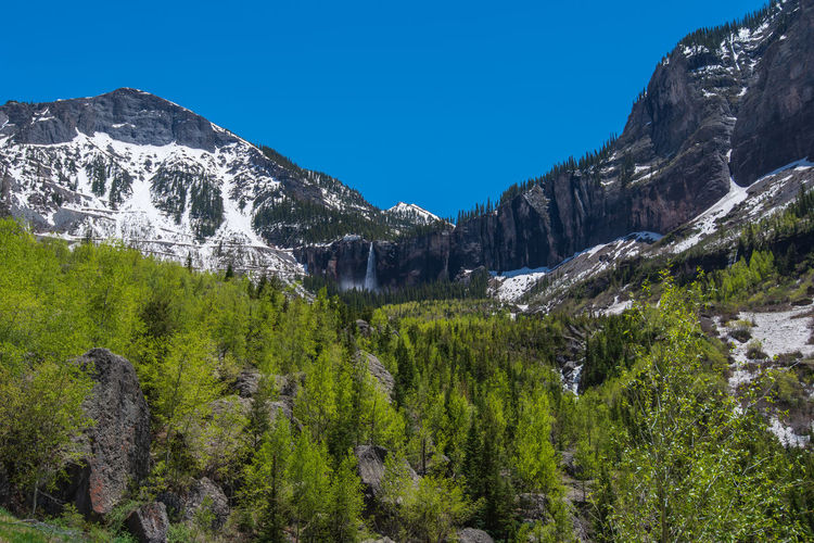 Low angle landscape of trees, a waterfall and snow-capped mountains in telluride, colorado