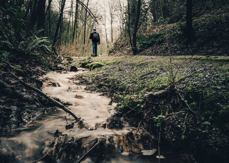 Man standing by stream in forest