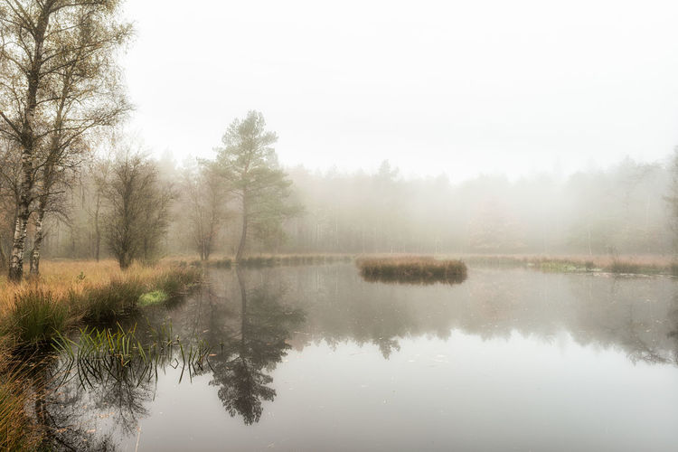 Reflection of trees in lake against sky during foggy weather