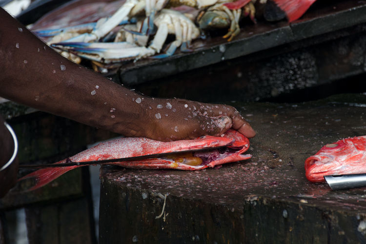 Chief cook cuts a pargo fish or red snapper on a wooden cutting board. asian food, sri lanka.