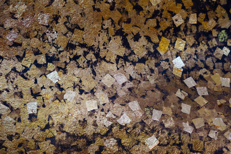 High angle view of leaves on floor