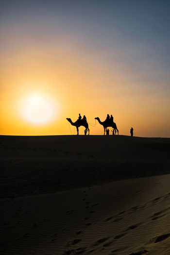 Silhouette people riding horse on desert against sky during sunset