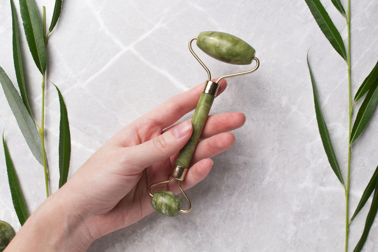 Cropped hand of person holding plant