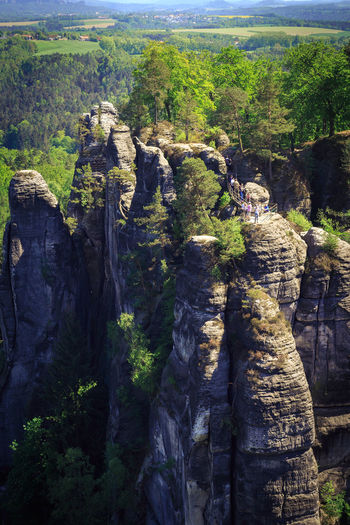 Aerial view of rock formations in forest