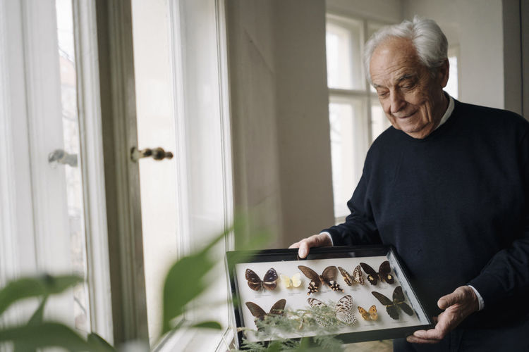 Senior man at home showing his butterfly collection