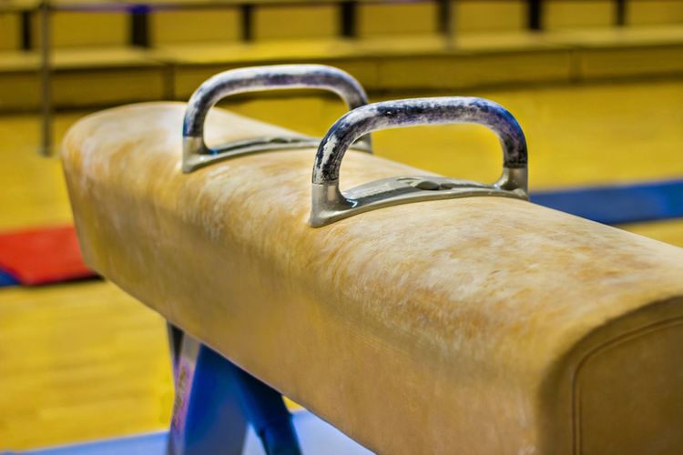 Close-up of pommel horse