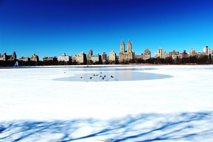 Frozen lake in central park by the san remo against clear blue sky
