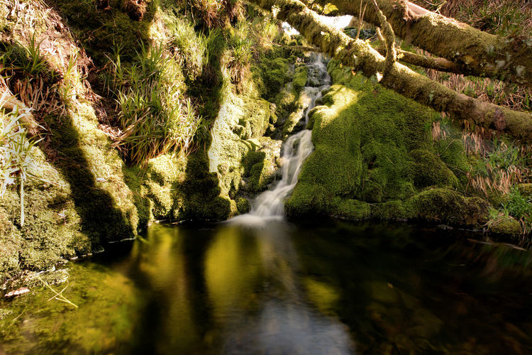 Scenic view of waterfall in dartmoor