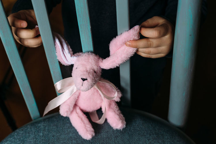 Children's hands are holding a small soft rabbit toy. social advertisement.