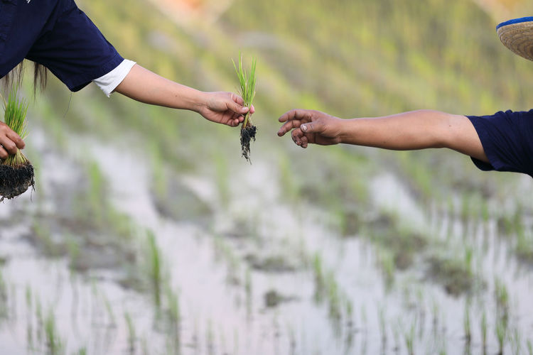 Midsection of man holding hands on land