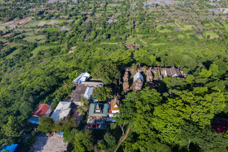 High angle view of houses amidst trees and plants