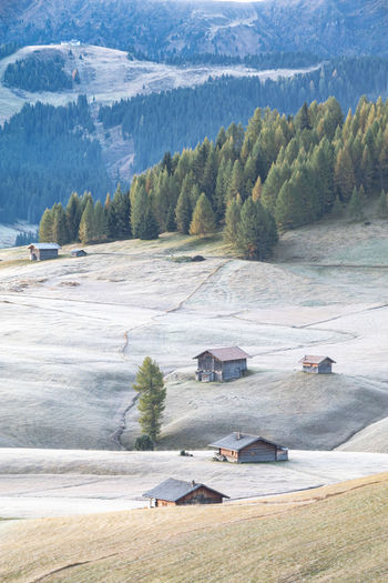 Scenic view of trees and houses by mountains