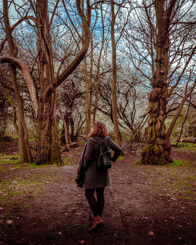 Rear view of female hiker standing against bare trees in forest