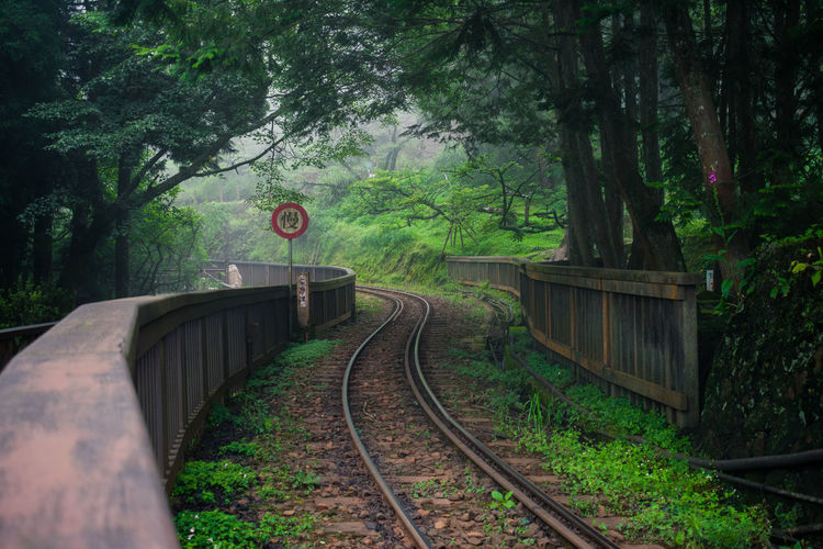 Railroad tracks by trees in forest with fog in the background at a taiwan mountain