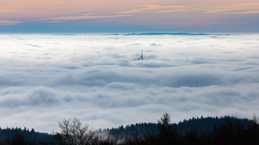 cloud