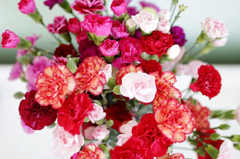 Close-up of pink flower arrangement