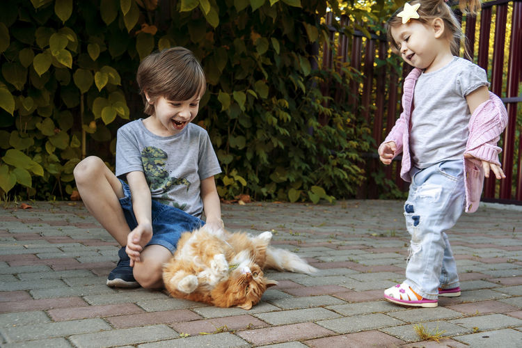 Happy and joyful boy and girl playing with there pet - red cat.