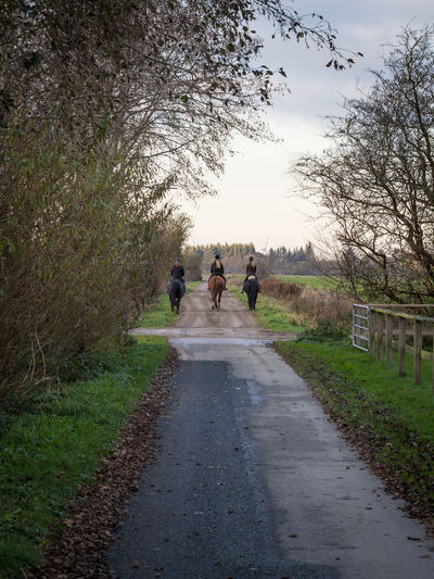 Rear view of three women horseback riding in countryside road during autumn